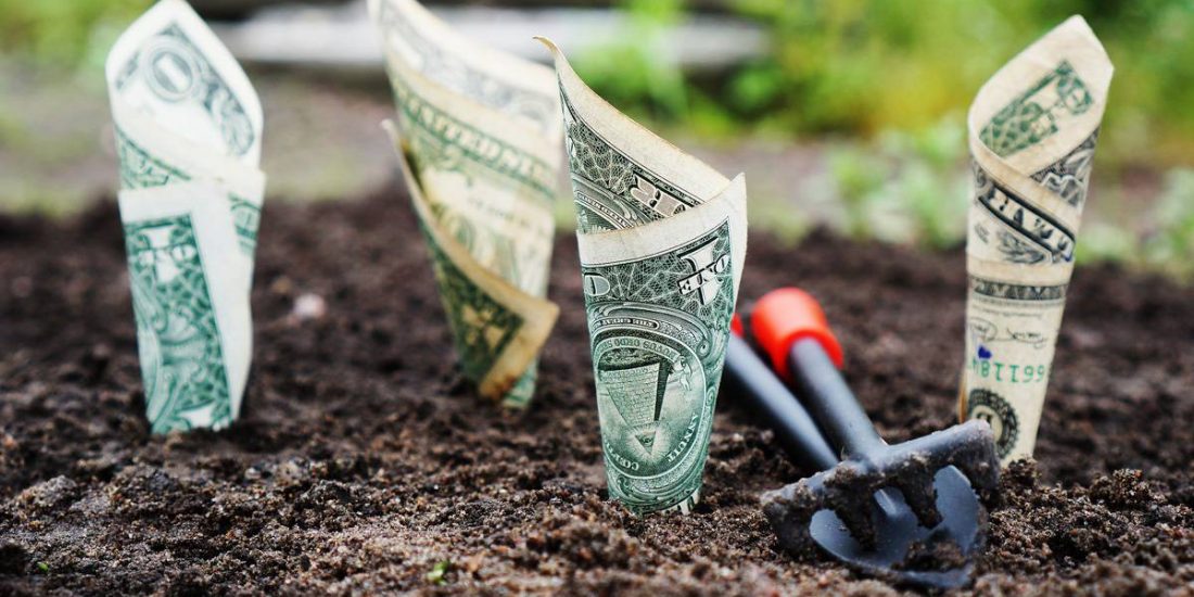How to Grow Your Money the Smart and Easy Way