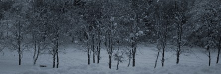Quisque metus nunc posuere