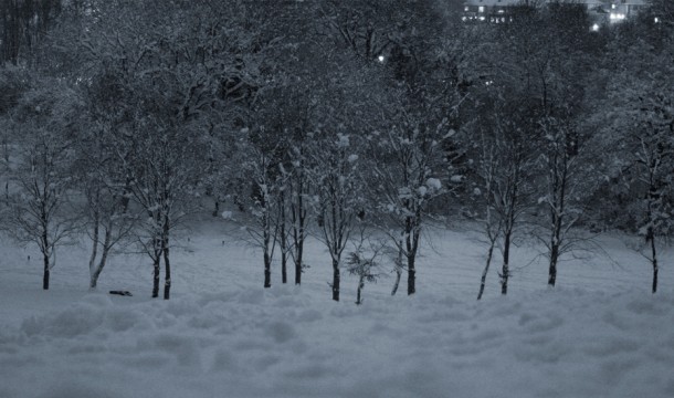 Quisque metus nunc posuere