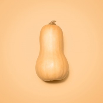 Butternut