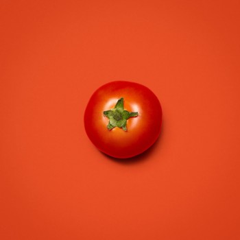 Bangalore Tomato