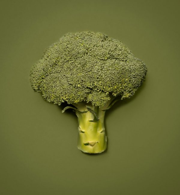 Fresh Broccoli